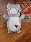 Valentine's Squishmallows HugMees Tally the Cat 10