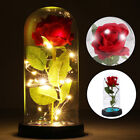 Enchanted Crystal Flower Gift - Galaxy Rose in Glass Dome - Mother's Day Gift