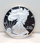 2013 W US Proof Silver Eagle 1 oz Nice Coin