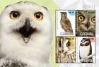 Grenada - 2015 - OWLS - Sheet of 4 Stamps - Scott #4120 - MNH