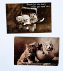 New Listing2 VTG Antique Postcards Black White Photo Cute Kitty Cat Kitten in Egg Basket