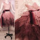 1920s High Fashion Tulle Chiffon Ombre Pink To Mauve Sheer Dress Gown Petal Tutu