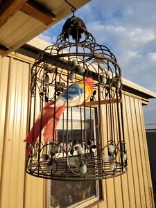 Decorative Hanging Black Metal Bird Cage 17.5