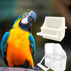 Bird Cage Cup PP Bird Slot Feeder Bird Cage Bird Feeder Bird Food Bowl Parakeet