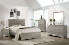 5 piece Amalia Queen Champagne Silver Upholstered Panel Bedroom Set