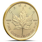 2024 1/2 oz Canadian Gold Maple Leaf Coin (BU)