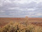 AZ, Navajo, 108-14-053, 5.0 acres