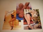 lot of -3-STORMY DANIELS - ADULT ACTRESS AUTO PICTURE SIGNED 8X10 PHOTO REPRINT