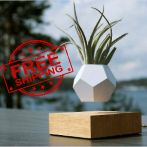 Magnetic Levitating Flower Pot Nordic Simple Style Home Decoration
