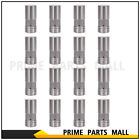 Hydraulic Lifters for Ford 289 302 351W 351M 351C 400 429 460 Set of 16 (For: Ford)