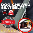 Seat Belt Webbing/Material Replacement Service - COLOR MATCH - 24HR!