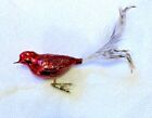 New Listing1 Vintage Red Feathered Bird Clip on Glass Christmas Ornament Germany