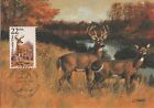 White-Tailed Deer Fauna Wildlife Canada USA Mint Pennsylvania Maxi Card FDC 1987