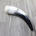 2 Small Polished Cow Horns #3041 Natural colored