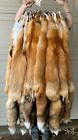 Tanned Canada   Red Fox Winter “Heavy Fur” XL Pelt, Hide, Medium Grade (canrfmg)