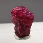1.036ct Ruby / Luc Yen, Vietnam / Rough Crystal Gem Gemstone Mineral Specimen