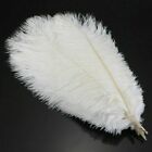 Large White Feathers Natural Ostrich Feather Plume Floral Arrangement Decoration