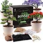 Bosani Tree Starter Kit -4- Seed Variety, Pots, Grow Guide-Birthday gift box