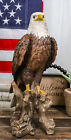 EBROS Large American Bald Eagle Perching on Tree Stump Statue 15.25
