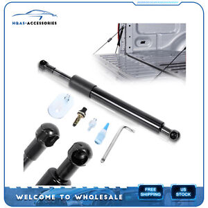 For 99-14 Ford F-250/350 Super Duty DZ43203 Tailgate Assist Struts Lift Support (For: Ford F-250 Super Duty)