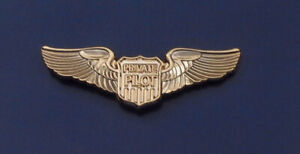 PRIVATE PILOT small gold WINGS uniform pin