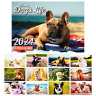 It's A Dog's Life 2024 Rectangle Animal Wall Calendar 16 Months Hanging Planner
