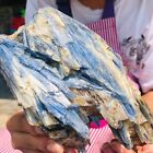 3.01LB Natural Blue Crystal Kyanite Rough Gem mineral Specimen Healing