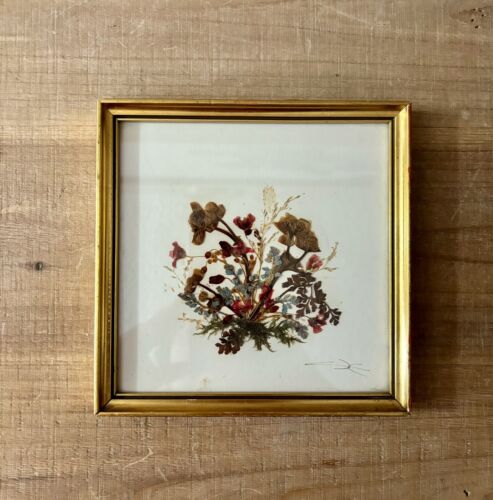 Vintage Pressed Dried Flowers Wall Art Gold Frame 7” x 7” Signed