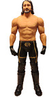 WWE Seth Rollins 31