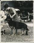 1972 Press Photo Diana Frost, DeWalt's Entertainer Wins German Shepherd Dog Club