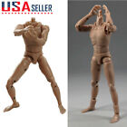 MCCToys 1/12 Scale Male Figure Body MCC023 Narrow Shoulder Action Model Doll Toy