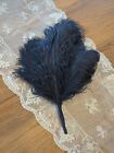 Antique Millinery Feathers, Antique Black Ostrich Feathers