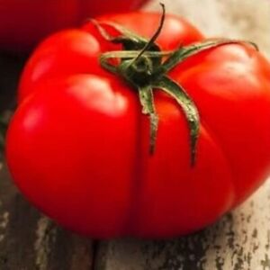 Beefsteak Tomato Seeds | NON-GMO | Heirloom | Fresh Vegetable Seeds