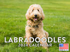 Labradoodle Dog Breed 2024 Wall Calendar