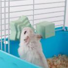 Hamster Rabbit Rat Guinea-pig Calcium Mineral Chew US Toys Cube Teeth N2K6