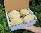 Break Your Own Geodes Gift Box (4 LARGE pcs) Unopened Moroccan Crystal Geodes