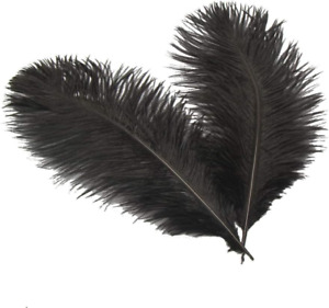 Sowder 6-8Inch(15-20Cm) Ostrich Feathers Plume for Wedding Centerpieces Home Dec