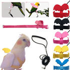 Adjustable Bird Harness Leash Set For Cockatiel Small Birds Bird Walking Tool