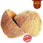 Ceylon Coconut Shell Halves 100% Natural Pure Eco Friendly COCONUT SHELL (10)