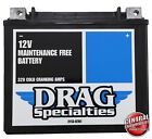 AGM Sealed Battery Harley Dyna Sportster Softail Buell Drag Specialtie 2113-0781 (For: More than one vehicle)