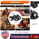 125CC 4 Stroke ATV Engine Motor w/Reverse Electric Start For ATVs GO Karts USA