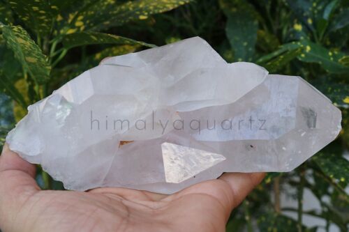 840 gm Natural Beautiful White Quartz Crystal Cluster Point Mineral Specimen