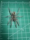 L Florida Thin Legged Wolf Spider wet specimen oddities Taxidermy Mummified #103