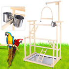 Parrots Playstand Bird Playground Wood Perch Gym Stand Playpen Bird Ladders USA