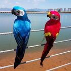 Large Fake Artificial Parrot Feathered Realistic Garden Decor Home HOT