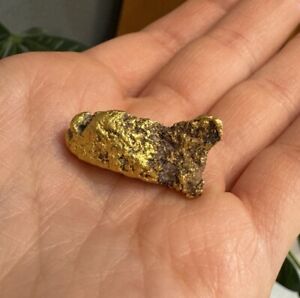 Pure Gold Nugget Large 15.99 Grams Large Raw Gold Nugget