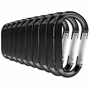 Carabiners Clip Set 10  Pack of  Locking D Ring Shape Clips NEW