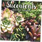 TURNER Photographic Succulents 12X12 Wall Calendar (22998940084)