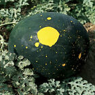 Moon & Stars Watermelon Seeds | Non-GMO | Free Shipping | Seed Store | 1042
