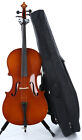 Selmer AR223 3/4 Student Cello